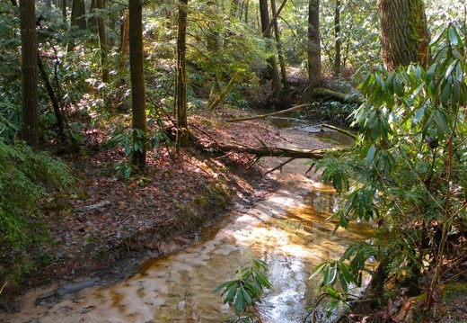 Parched Corn Creek - Rough Trail